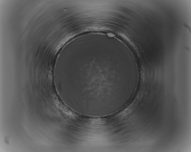 X0000099951025200806061537