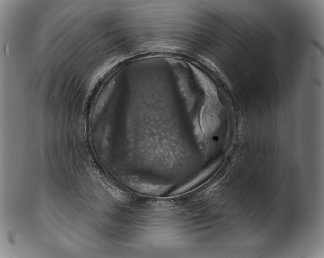 X0000099951027200806061537