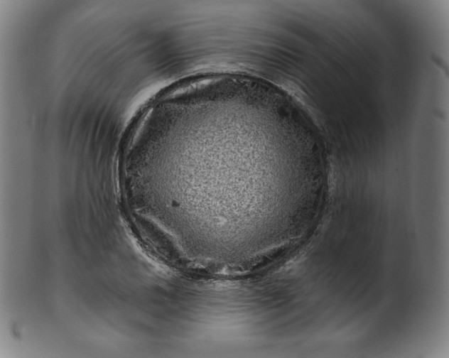 X0000099951030200806061537