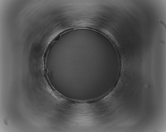 X0000099951031200806061537