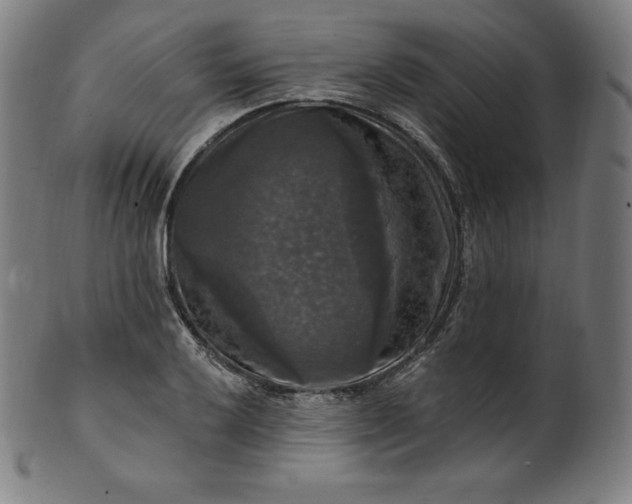 X0000099951032200806061537