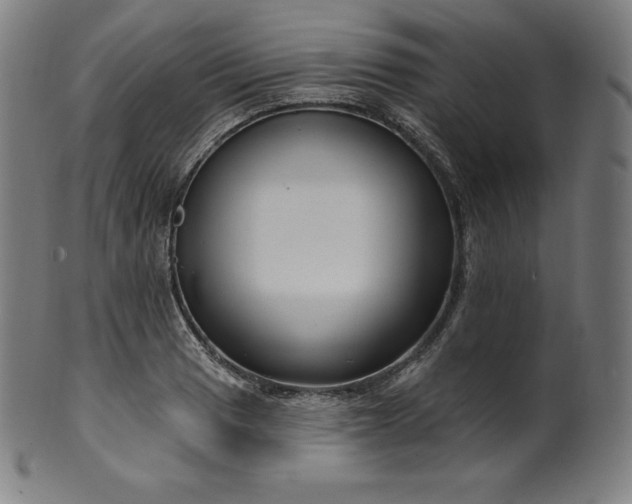 X0000099951033200806061537