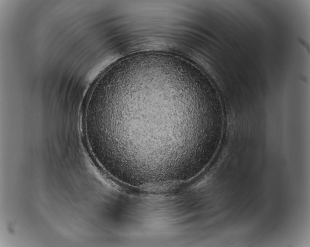 X0000099951034200806061538