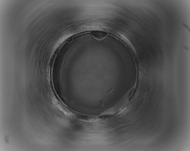 X0000099951035200806061538