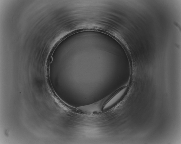 X0000099951037200806061538