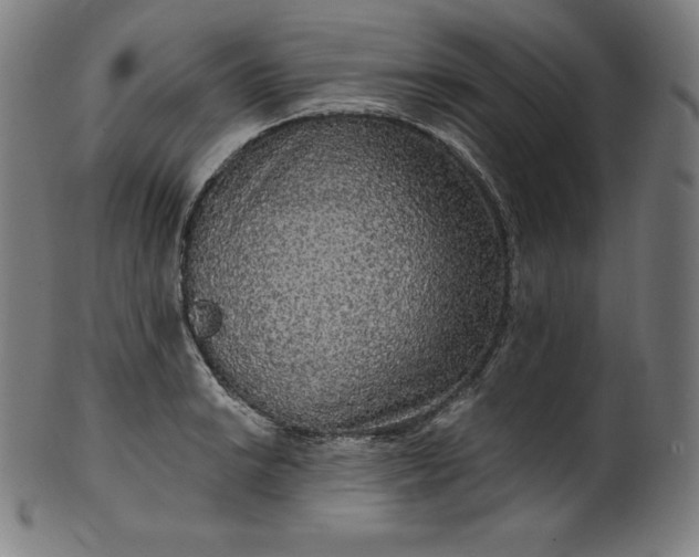 X0000099951038200806061538