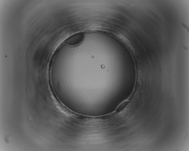 X0000099951039200806061538