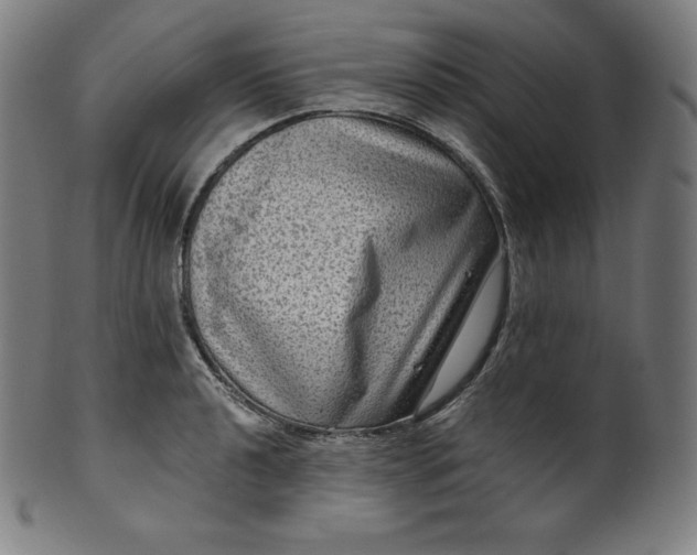 X0000099951040200806061538