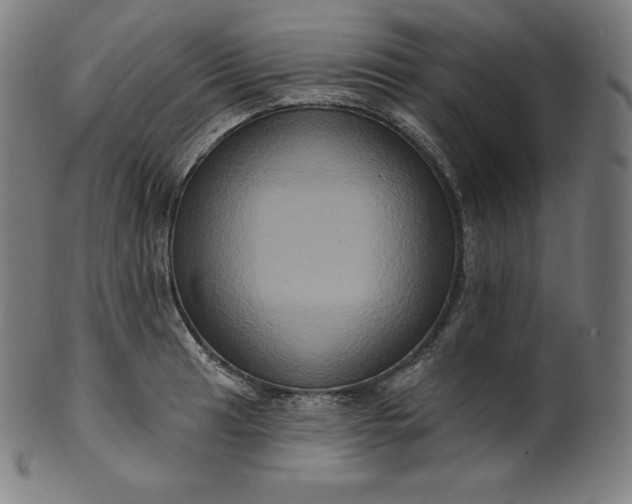 X0000099951041200806061538