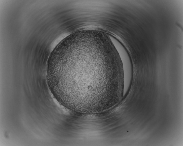 X0000099951042200806061538