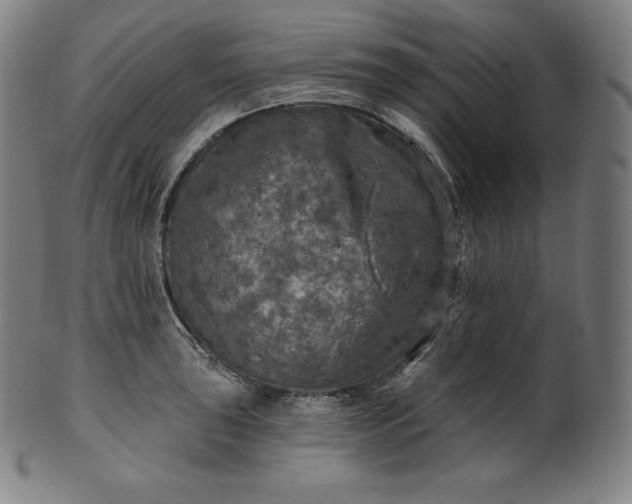 X0000099951043200806061538