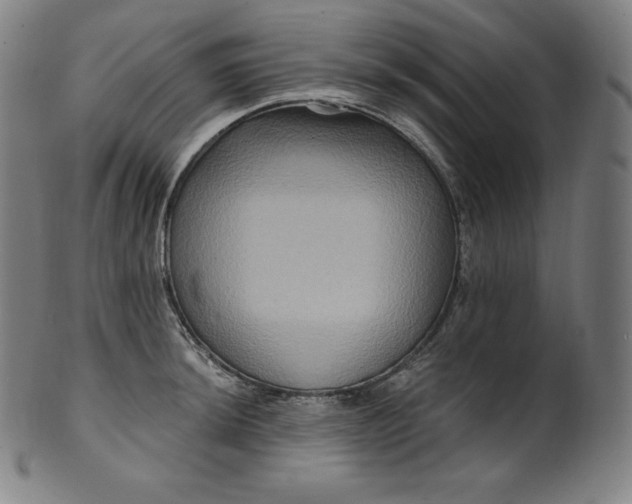 X0000099951044200806061538