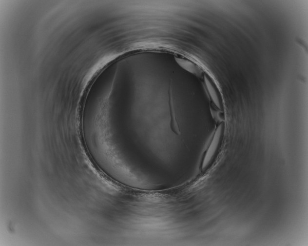 X0000099951045200806061538