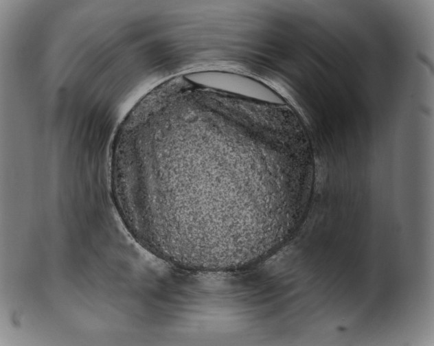 X0000099951046200806061538