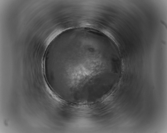 X0000099951047200806061538