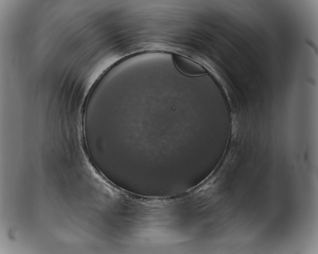 X0000099951048200806061538