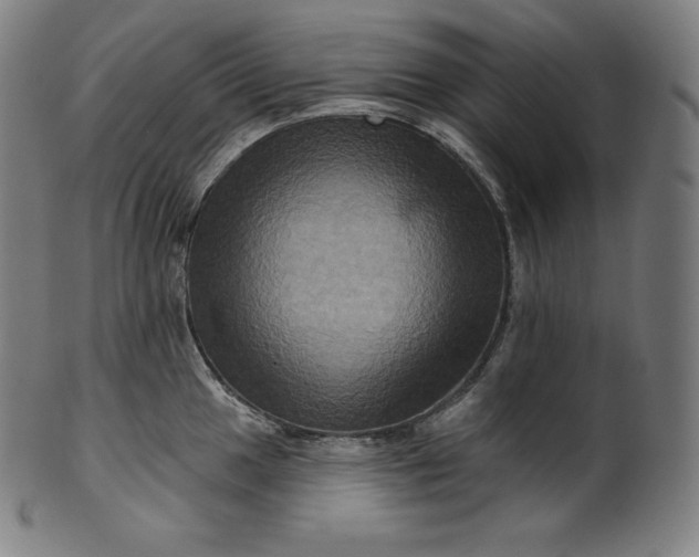 X0000099951049200806061538