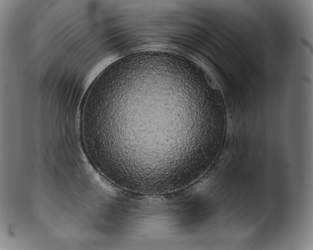 X0000099951050200806061538