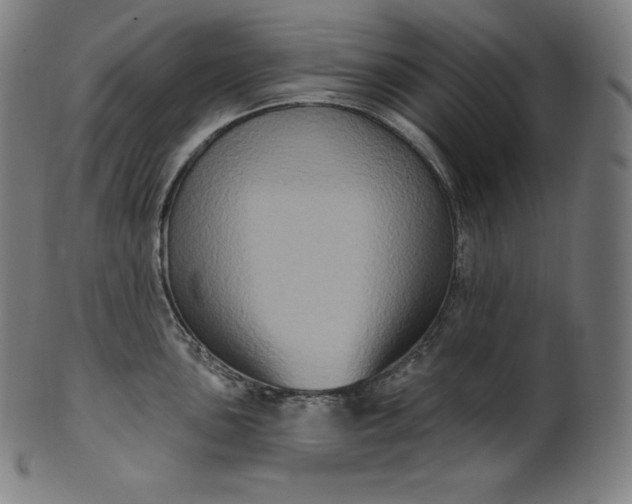 X0000099951051200806061538