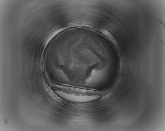 X0000099951052200806061538