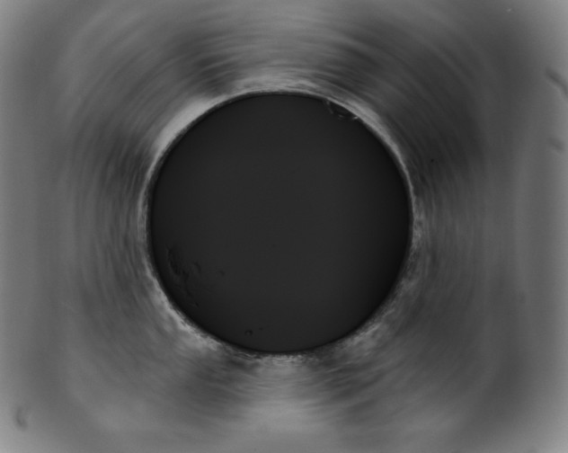 X0000099951053200806061538