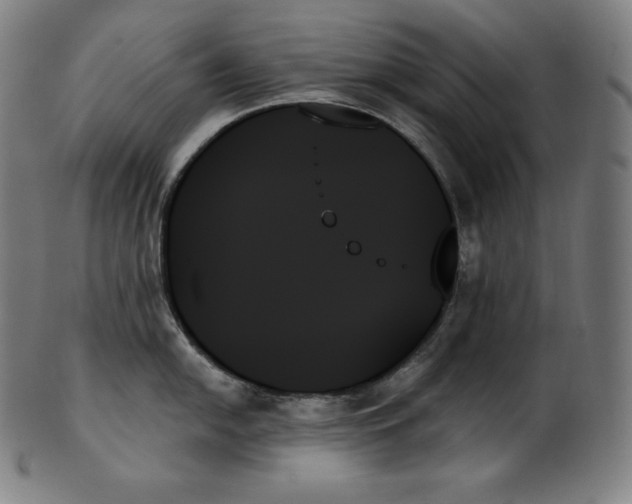 X0000099951054200806061538