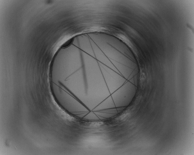 X0000099951055200806061538