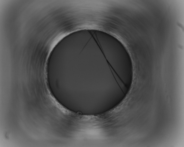 X0000099951056200806061538