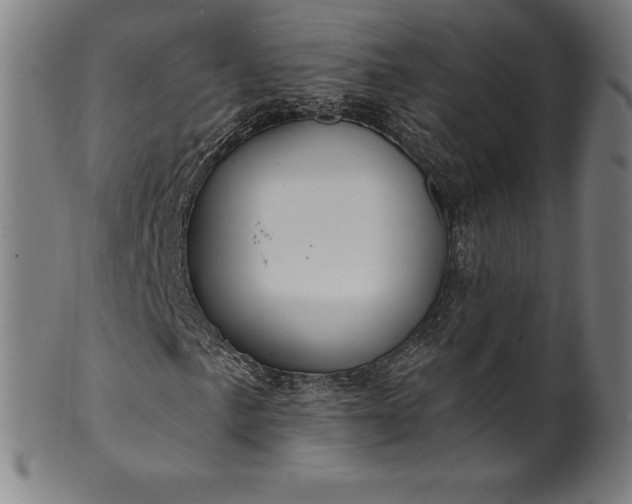 X0000099951057200806061537