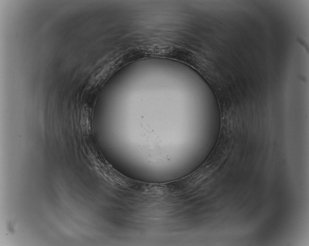 X0000099951058200806061537