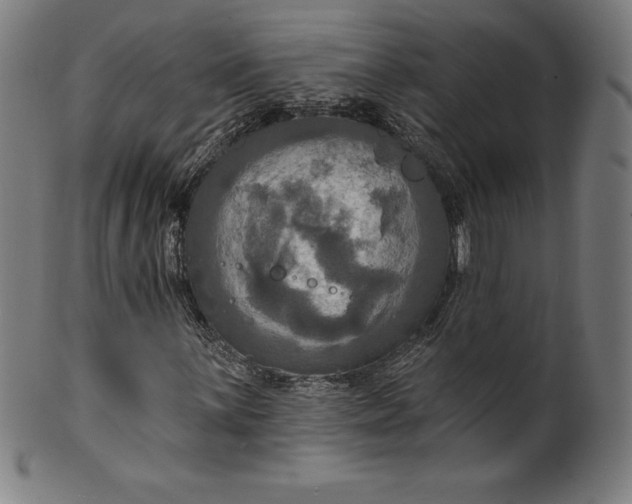 X0000099951059200806061537