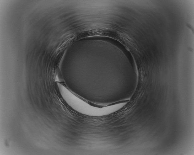 X0000099951060200806061537