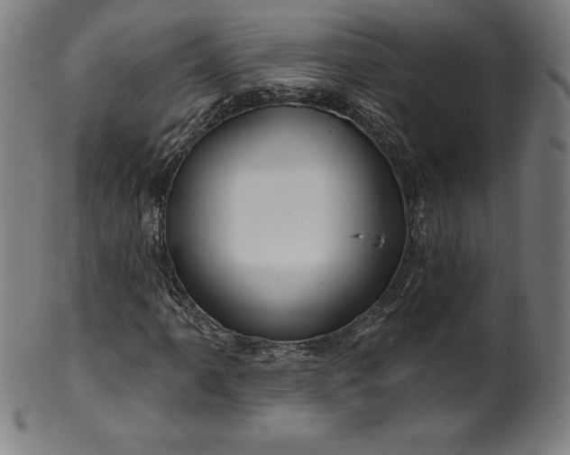 X0000099951061200806061537