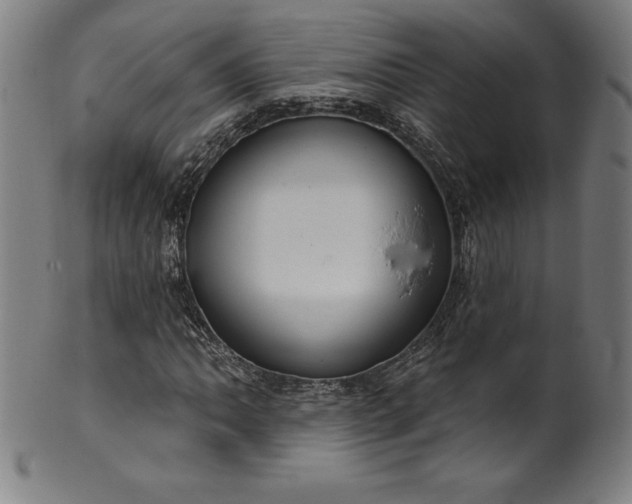 X0000099951062200806061537