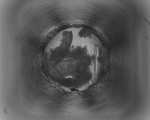 X0000099951063200806061537