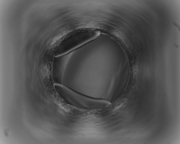 X0000099951064200806061537