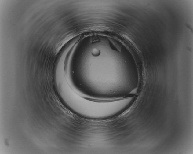 X0000099951065200806061537