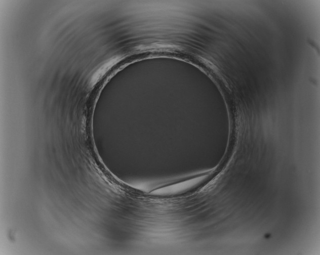 X0000099951066200806061537