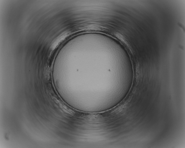 X0000099951067200806061537