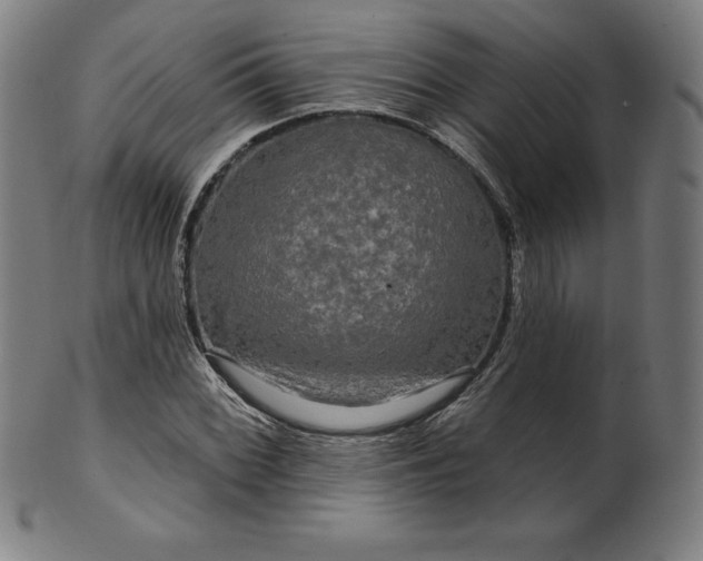 X0000099951068200806061537