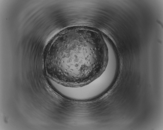 X0000099951069200806061537