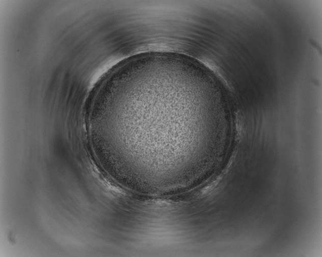 X0000099951070200806061537