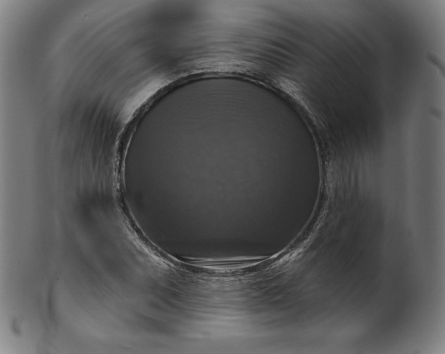 X0000099951071200806061537