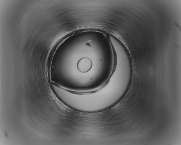 X0000099951072200806061537