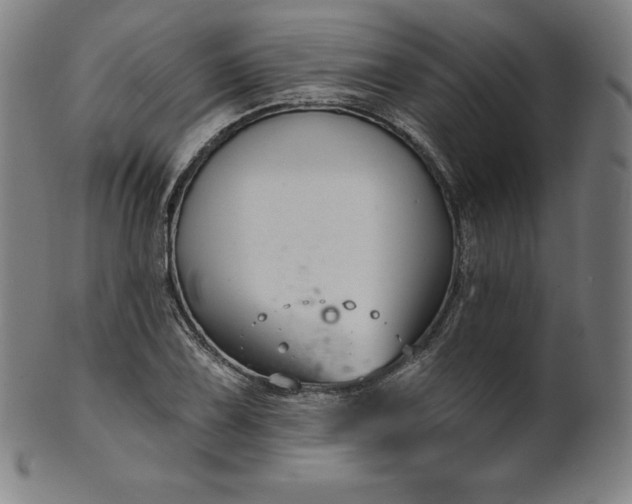 X0000099951075200806061537