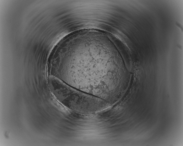 X0000099951076200806061537