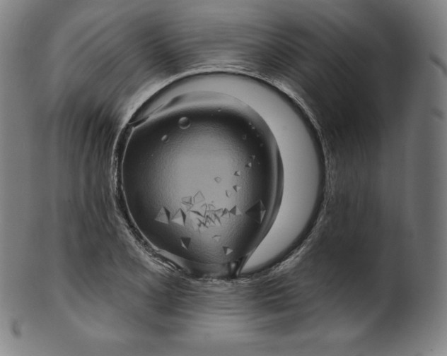 X0000099951077200806061536