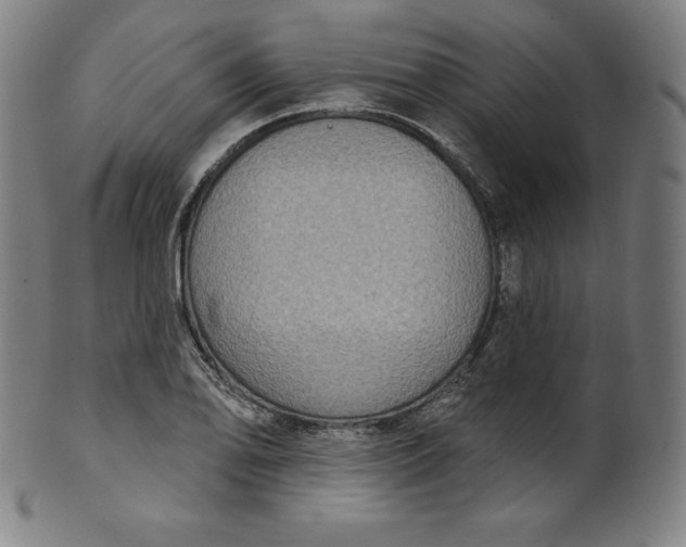 X0000099951078200806061536