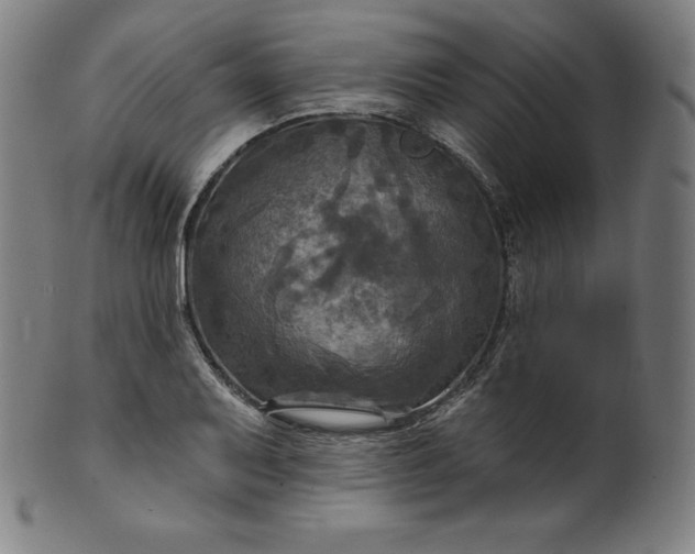 X0000099951079200806061536