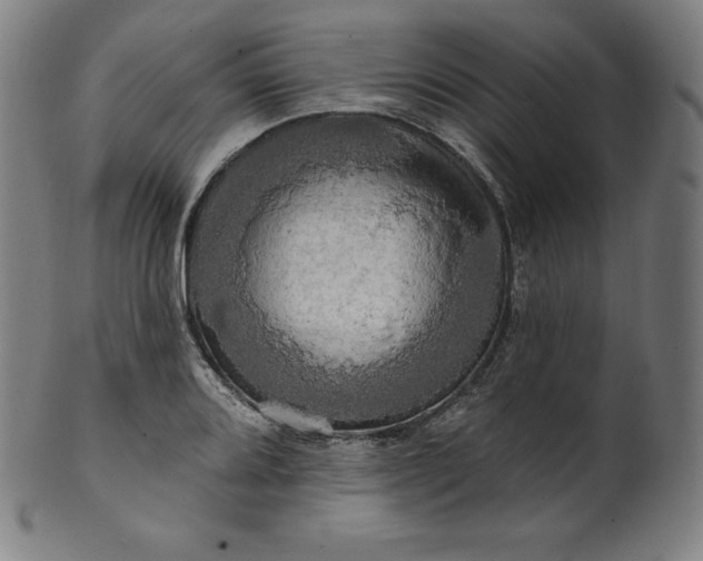 X0000099951080200806061536